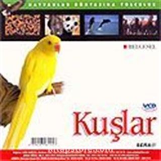 Kuşlar (VCD)