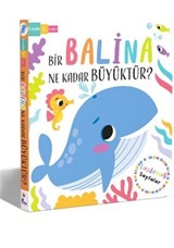 Bir Balina Ne Kadar Büyüktür? Kaydır + Keşfet