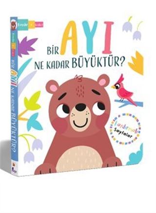 Bir Ayı Ne Kadar Büyüktür? Kaydır + Keşfet