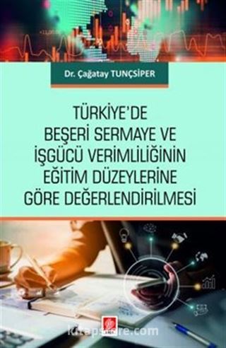 Türkiye'de Beşeri Sermaye ve İşgücü Verimliliğinin Eğitim Düzeylerine Göre Değerlendirilmesi