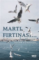 Martı Fırtınası