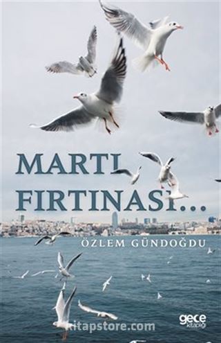 Martı Fırtınası