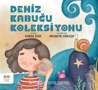 Deniz Kabuğu Koleksiyonu