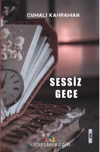 Sessiz Gece