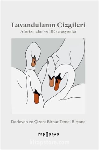 Lavandulanın Çizgileri