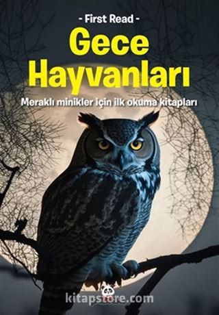 Gece Hayvanları / Meraklı Minikler