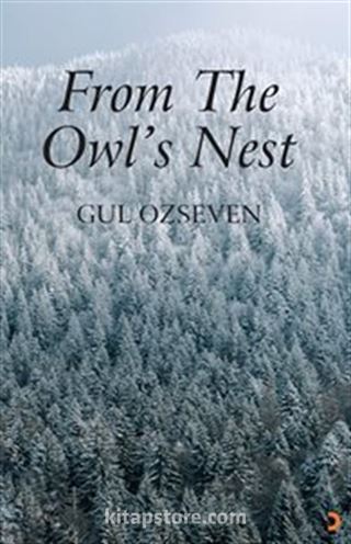 From The Owl's Nest