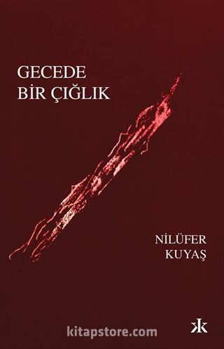 Gecede Bir Çığlık