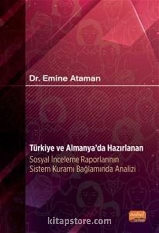 Türkiye ve Almanya'da Hazırlanan Sosyal İnceleme Raporlarının Sistem Kuramı Bağlamında Analizi