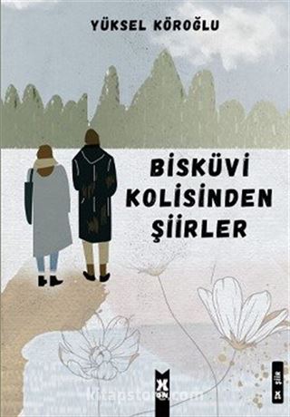 Bisküvi Kolisinden Şiirler