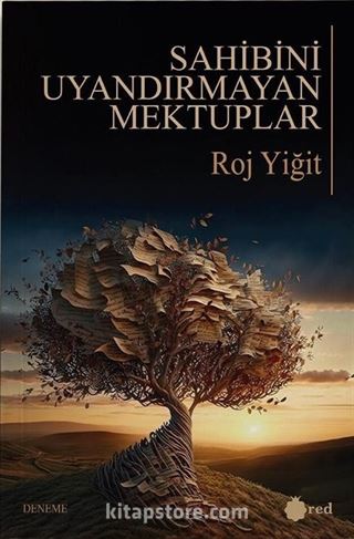 Sahibini Uyandırmayan Mektuplar