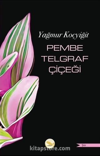 Pembe Telgraf Çiçeği