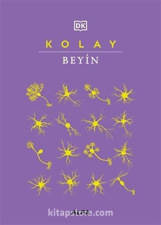 Kolay Beyin (Ciltli)