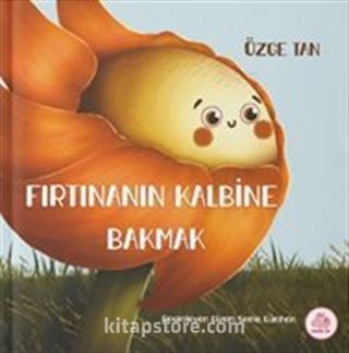 Fırtınanın Kalbine Bakmak