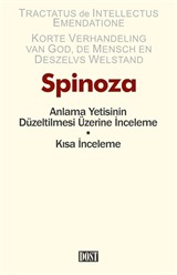 Anlama Yetisinin Düzeltilmesi Üzerine İnceleme - Kısa İnceleme