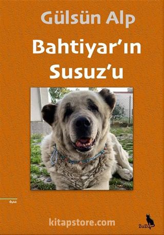 Bahtiyar'ın Susuz'u