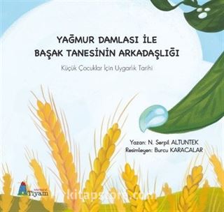 Yağmur Damlası İle Başak Tanesinin Arkadaşlığı