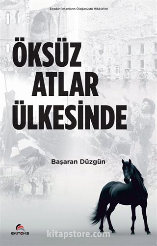 Öksüz Atlar Ülkesinde