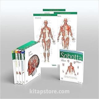 Sobotta Atlas Of Anatomy, 4 Volume Set  17th Ed., English/latin