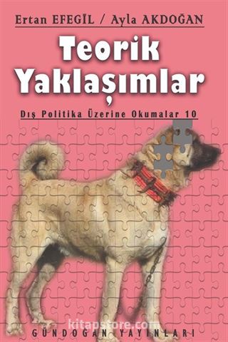 Teorik Yaklaşımlar