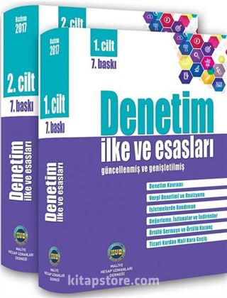 Denetim İlke ve Esasları (2 Cilt)