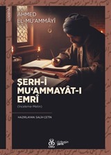 Şerh-i Mu'ammayat-ı Emrî (İnceleme-Metin)