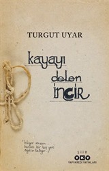 Kayayı Delen İncir