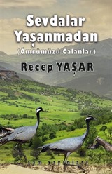 Sevdalar Yaşanmadan (Ömrümüzü Çalanlar)