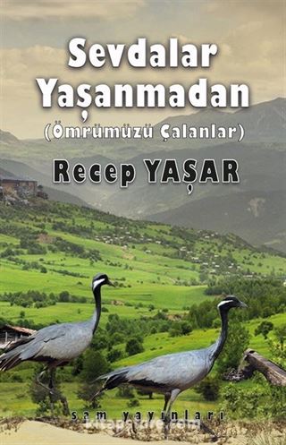 Sevdalar Yaşanmadan (Ömrümüzü Çalanlar)