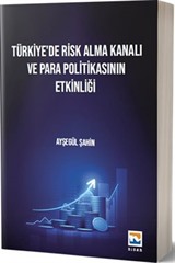 Türkiye'de Risk Alma Kanalı ve Para Politikasının Etkinliği