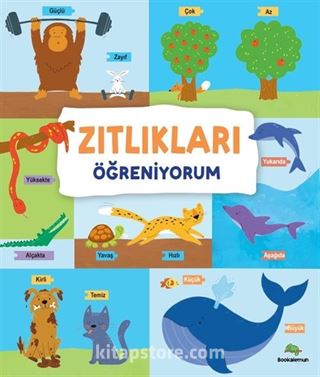 Zıtlıkları Öğreniyorum (Ciltli)