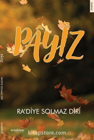 Payiz