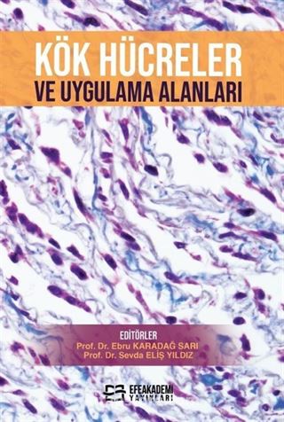 Kök Hücreler ve Uygulama Alanları