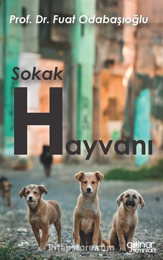 Sokak Hayvanı