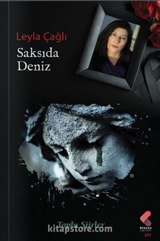 Saksıda Deniz