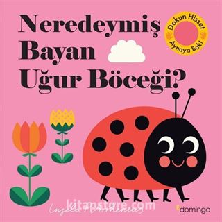 Neredeymiş Bayan Uğur Böceği? (Dokun, Hisset, Aynaya Bak!)