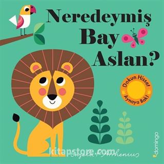 Neredeymiş Bay Aslan? (Dokun, Hisset, Aynaya Bak!)