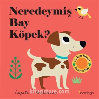 Neredeymiş Bay Köpek? (Dokun, Hisset, Aynaya Bak!)