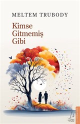 Kimse Gitmemiş Gibi