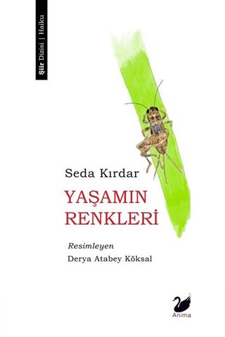 Yaşamın Renkleri