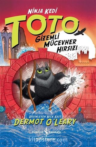 Ninja Kedi Toto