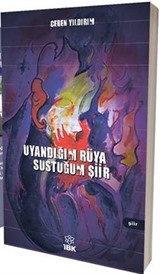 Uyandığım Rüya Sustuğum Şiir