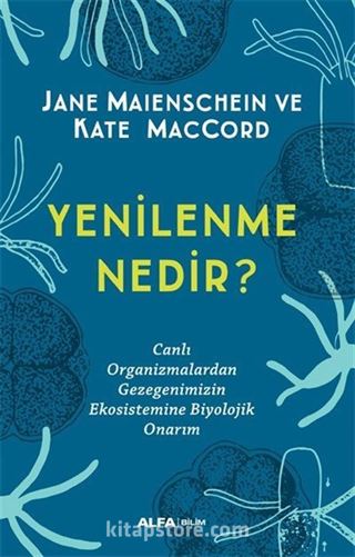 Yenilenme Nedir?