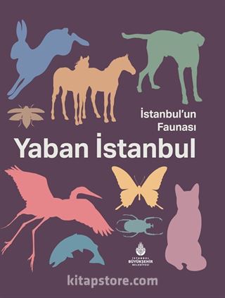 İstanbul'un Faunası Yaban İstanbul