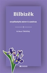 Bilbizêk