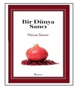 Bir Dünya Sancı