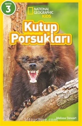 National Geographic Kids Kutup Porsukları