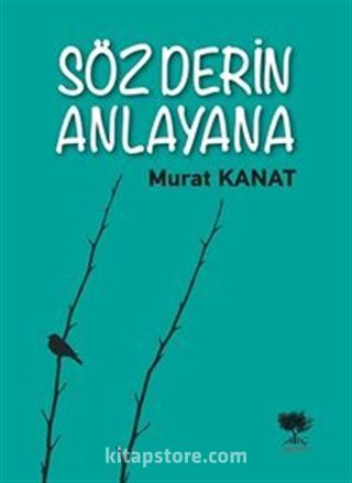 Söz Derin Anlayana