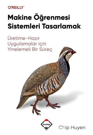 Makine Öğrenmesi Sistemleri Tasarlamak