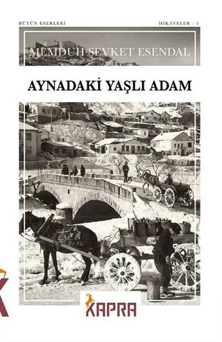 Aynadaki Yaşlı Adam